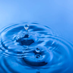 Схожість як дві краплі води – звідки взявся цей вислів і що він означає