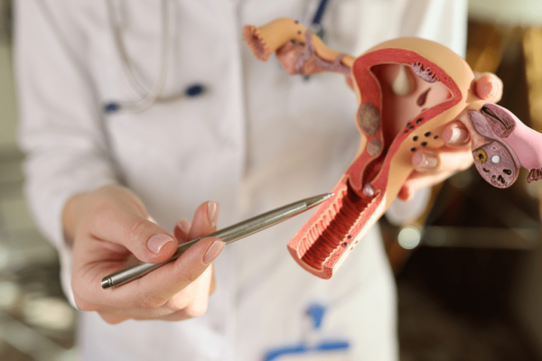 Коли матка напружується - що потрібно знати вагітним про її тонус