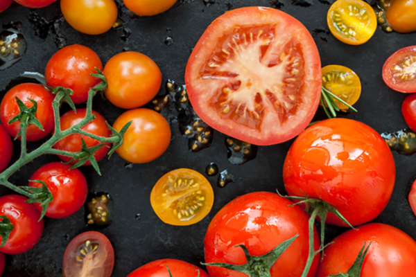 Секрети збору насіння томатів для багатого врожаю наступного року