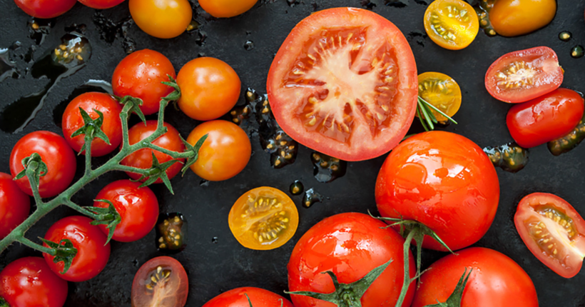 Секрети збору насіння томатів для багатого врожаю наступного року