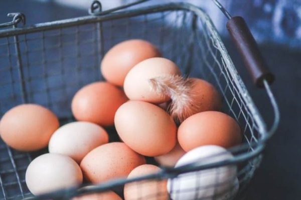 Як правильно зберігати яйця на зиму – поради та ефективні методи