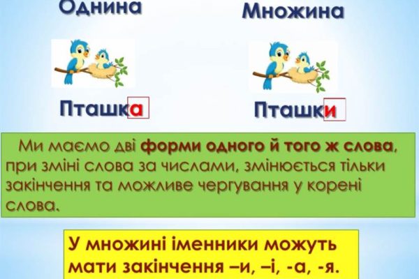 Множина в українській мові: як розібратися з формами та не заплутатися