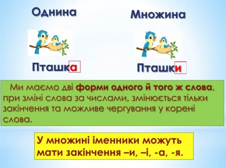 Множина в українській мові: як розібратися з формами та не заплутатися