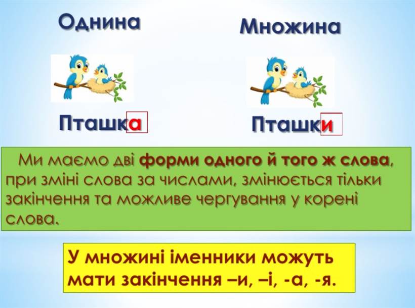 Множина в українській мові: як розібратися з формами та не заплутатися