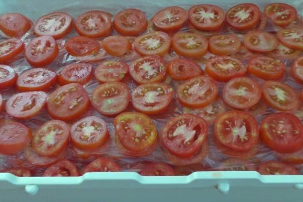 Як заморозити помідори щоб зберегти смак літа