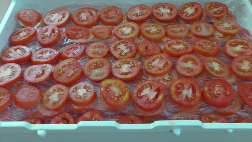 Як заморозити помідори щоб зберегти смак літа