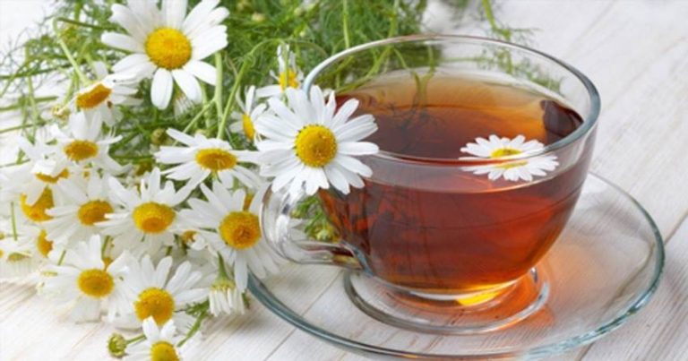 Як ромашковий чай впливає на здоров'я та коли варто бути обережним
