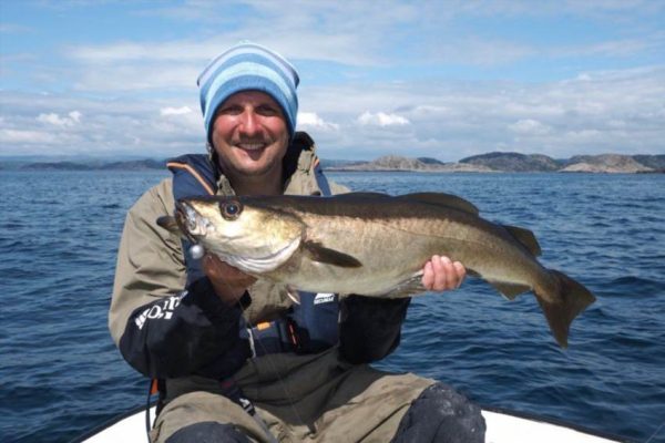 Мольва - атлантична щука з глибин океану