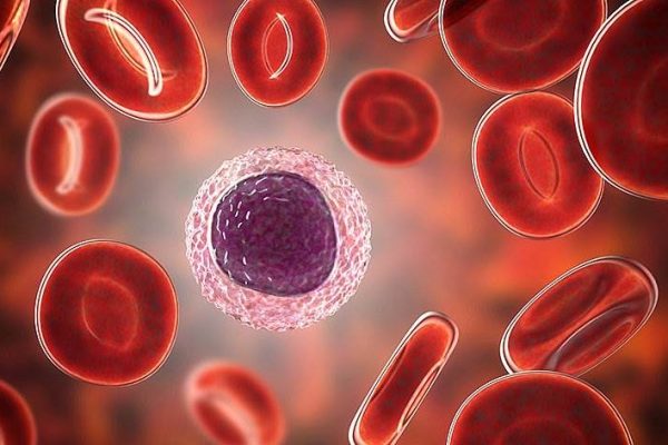 Коли імунітет просить допомоги – що робити при знижених лімфоцитах