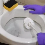 Як правильно відмити унітаз – секрети чистоти та догляду