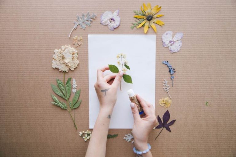 Як зробити гербарій своїми руками без помилок