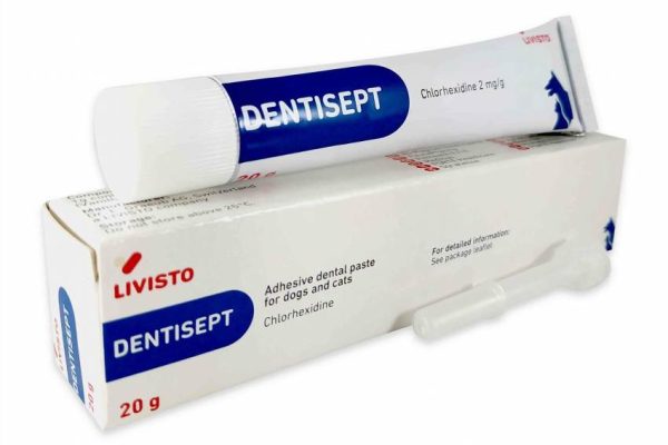 Дентисепт для ротової порожнини: склад, дія та правила застосування