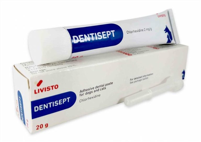 Дентисепт для ротової порожнини: склад, дія та правила застосування