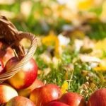 Як святкують День Яблука в Україні та світі