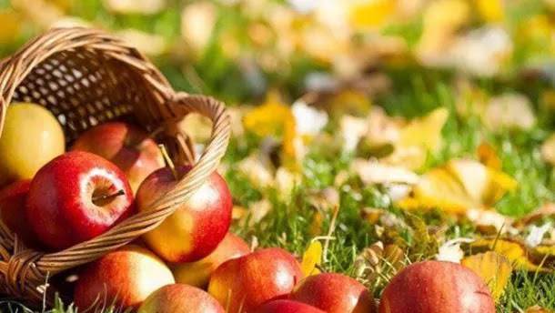 Як святкують День Яблука в Україні та світі