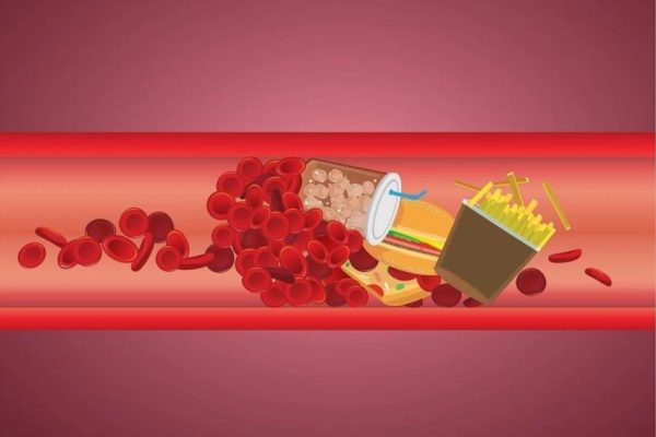 Народні методи зниження холестерину без ліків практичний посібник