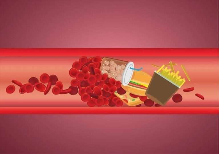 Народні методи зниження холестерину без ліків практичний посібник