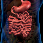 Як ефективно очистити кишечник від калових мас