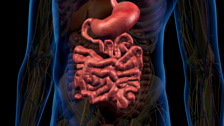 Як ефективно очистити кишечник від калових мас