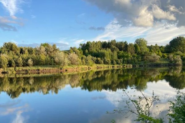 Заказники: природні скарби України під охороною