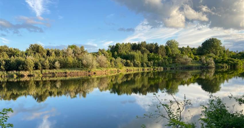 Заказники: природні скарби України під охороною