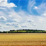 Горизонталь: від геометрії до реальних застосувань у світі