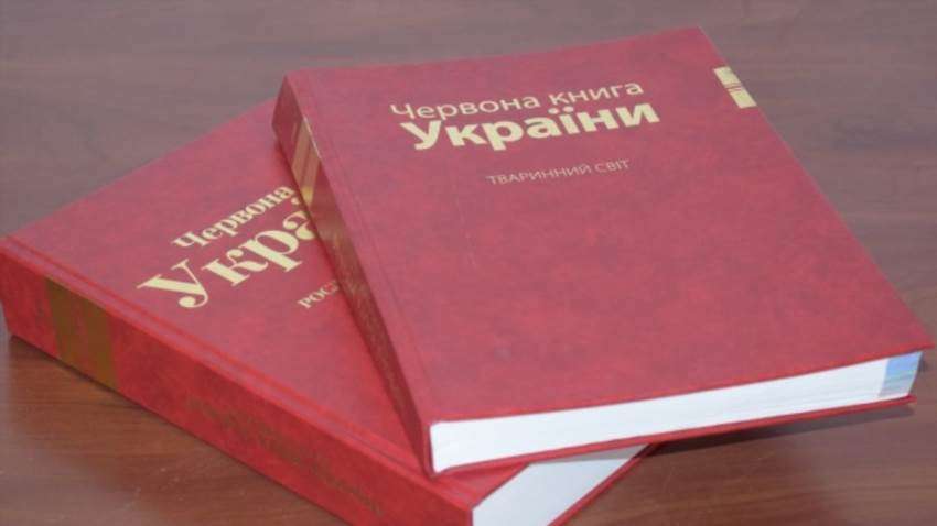 Червона книга України: що це насправді й чому без неї природа приречена